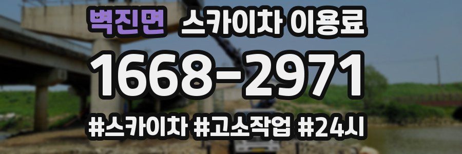 벽진면 스카이차 이용료