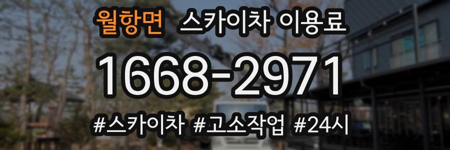 월항면 스카이차 이용료