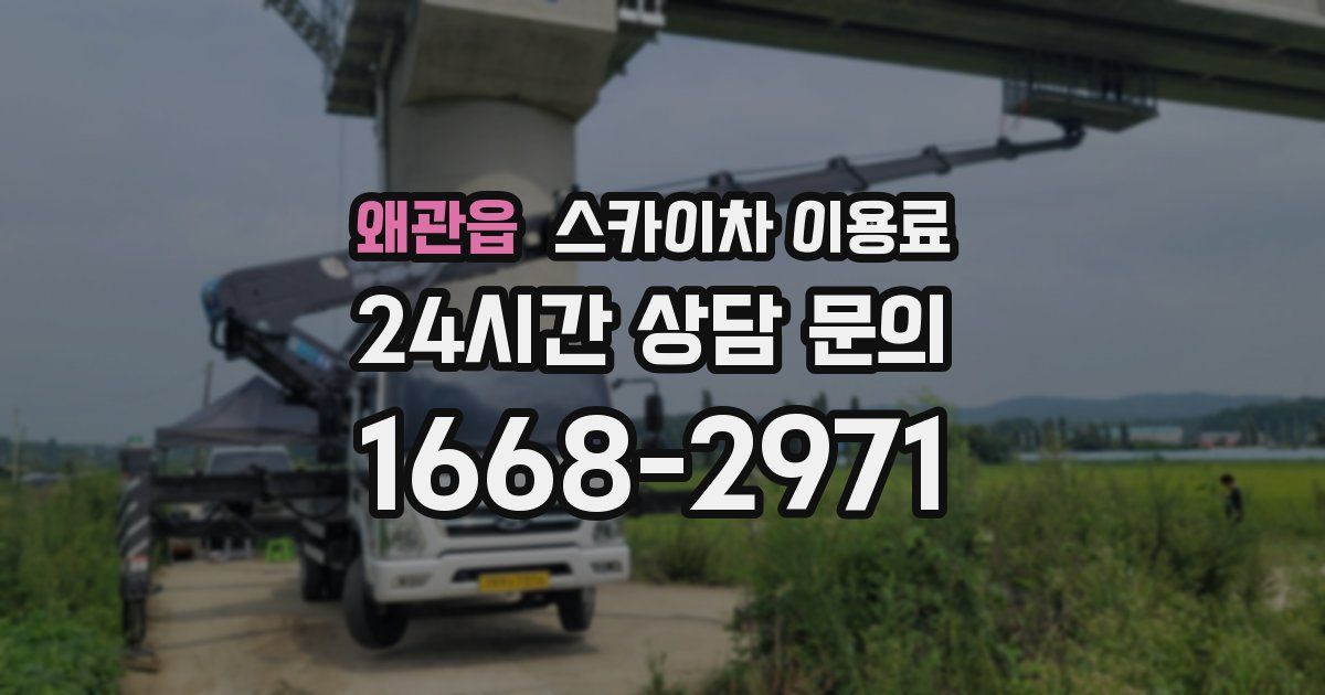 왜관읍 스카이차 이용료