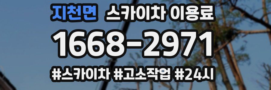 지천면 스카이차 이용료