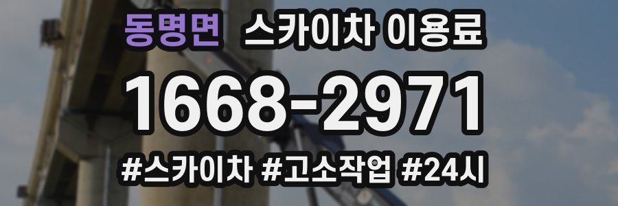 동명면 스카이차 이용료