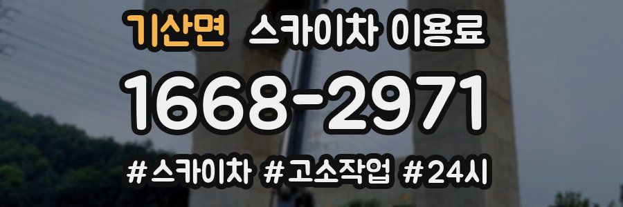 기산면 스카이차 이용료