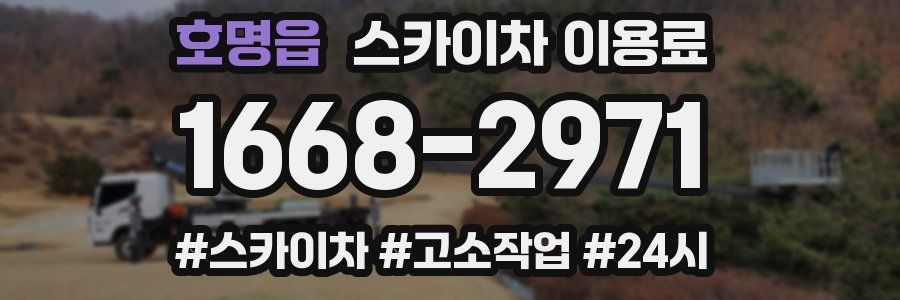 호명읍 스카이차 이용료