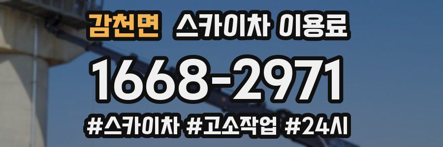 감천면 스카이차 이용료