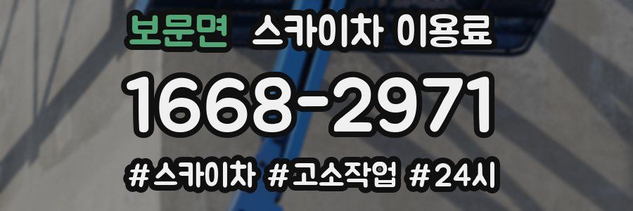 보문면 스카이차 이용료