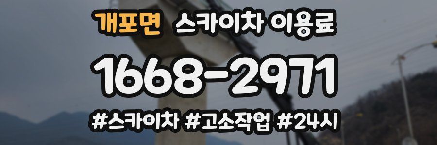 개포면 스카이차 이용료