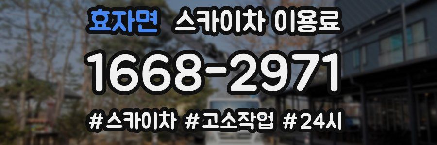 효자면 스카이차 이용료