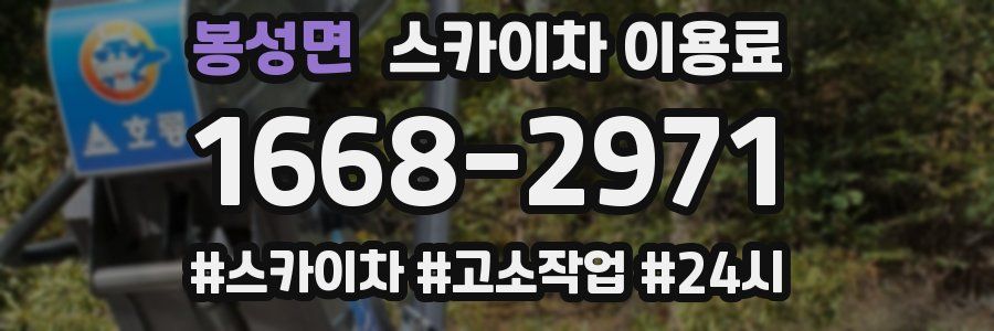 봉성면 스카이차 이용료