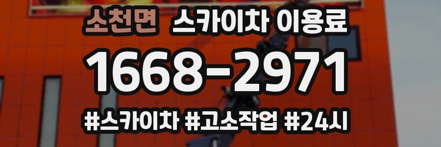 소천면 스카이차 이용료