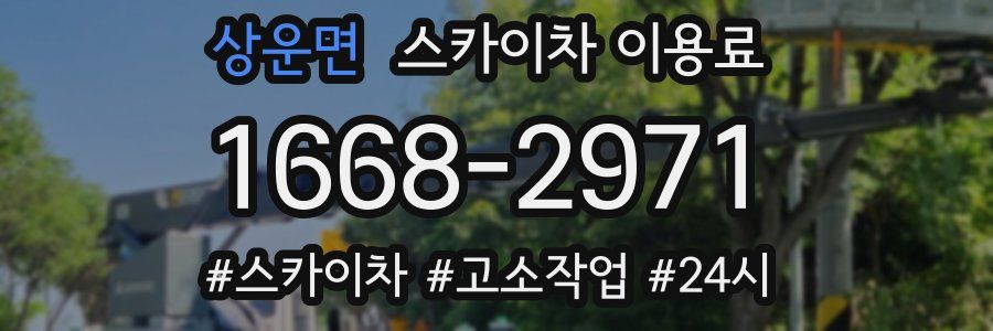상운면 스카이차 이용료