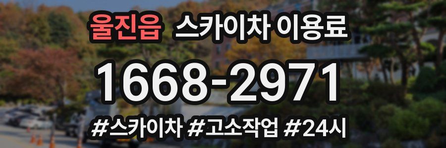 울진읍 스카이차 이용료