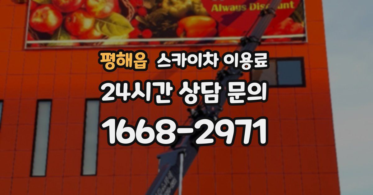 평해읍 스카이차 이용료