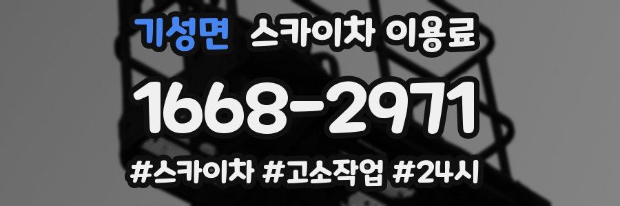 기성면 스카이차 이용료