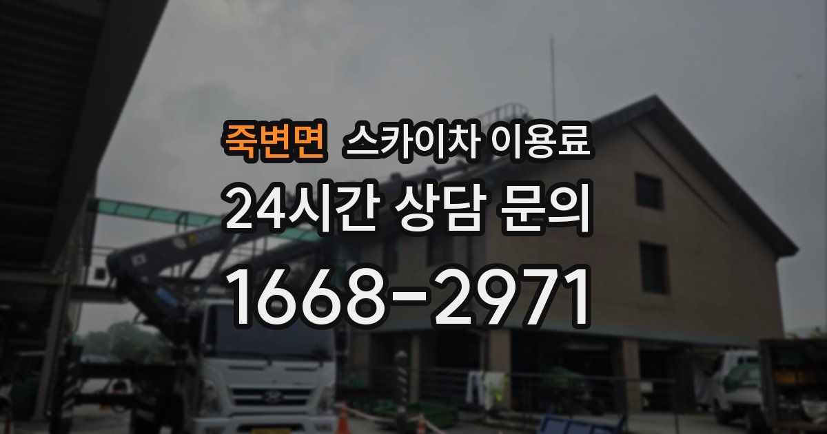 죽변면 스카이차 이용료