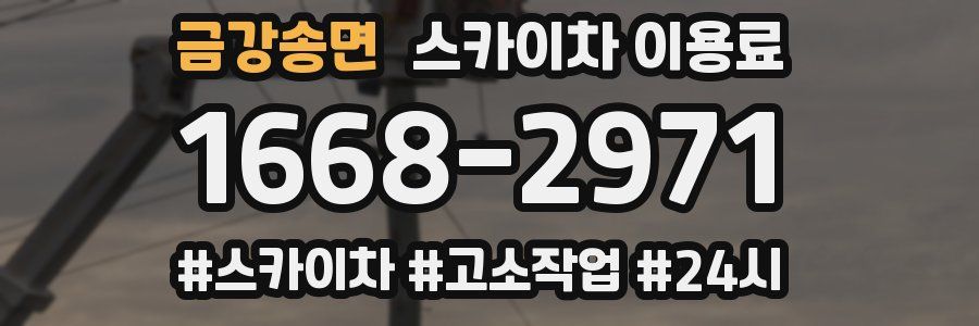 금강송면 스카이차 이용료