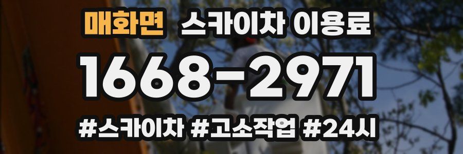 매화면 스카이차 이용료