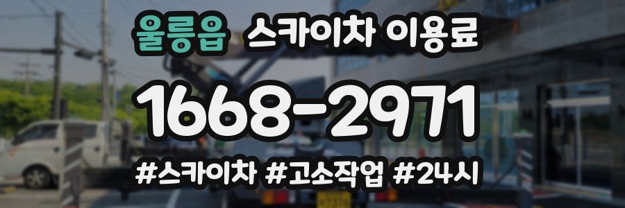 울릉읍 스카이차 이용료