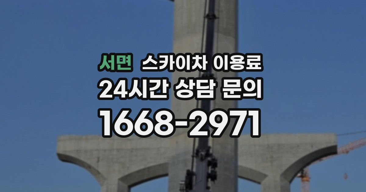 서면 스카이차 이용료