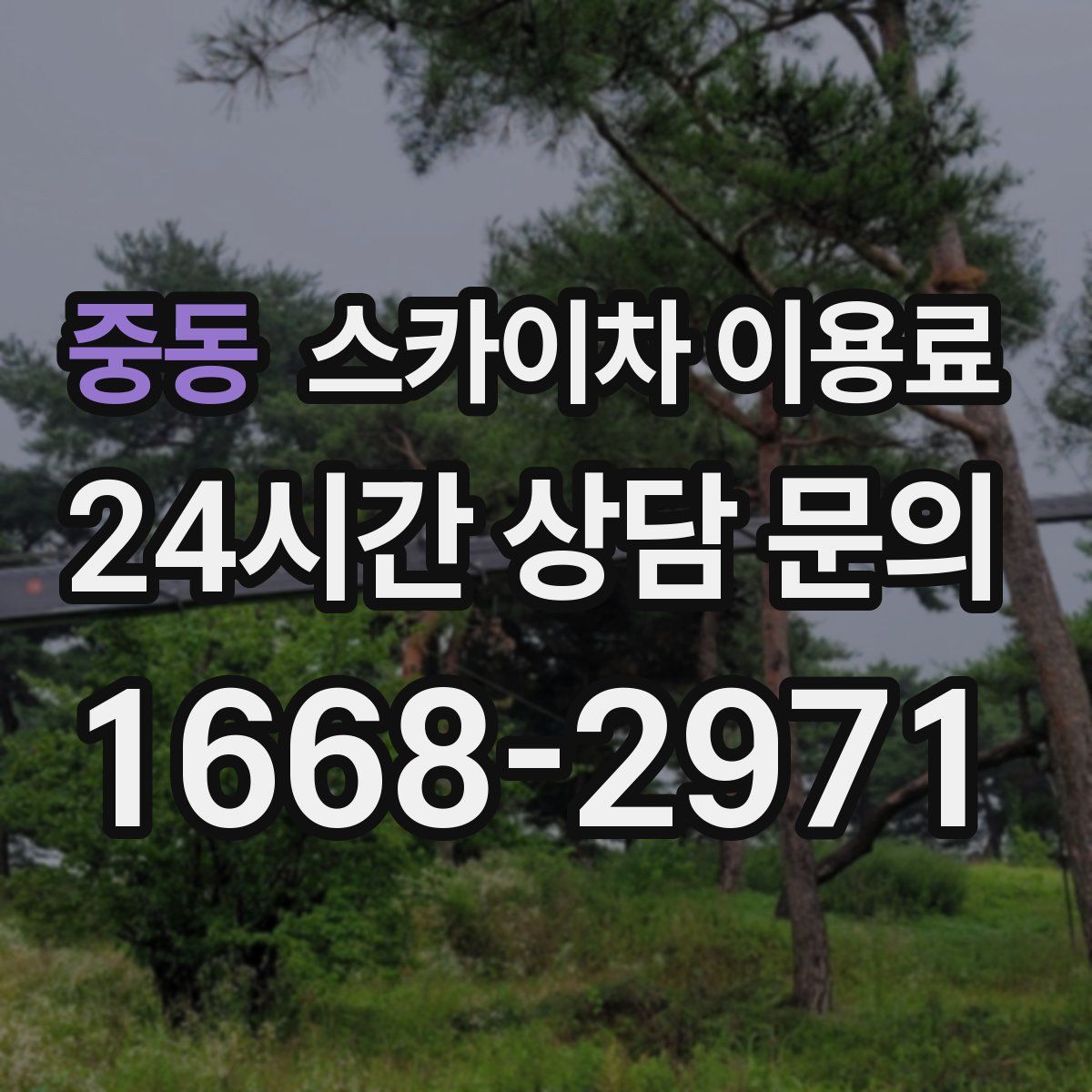 중동 스카이차 이용료