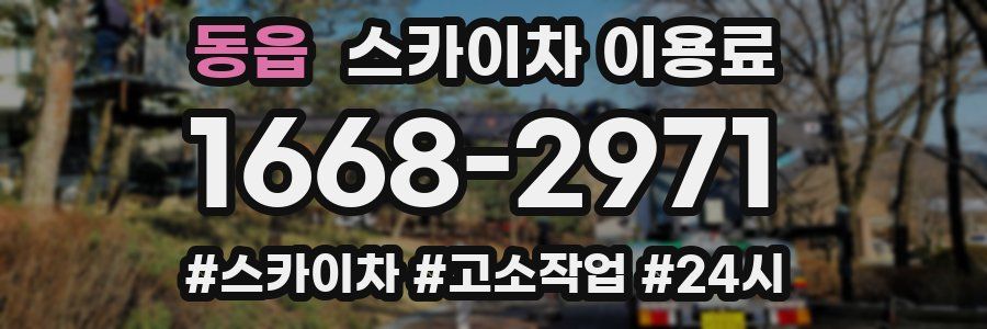 동읍 스카이차 이용료