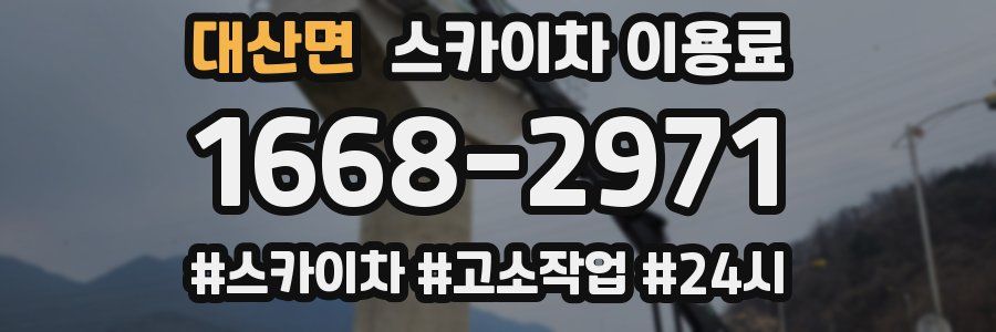 대산면 스카이차 이용료
