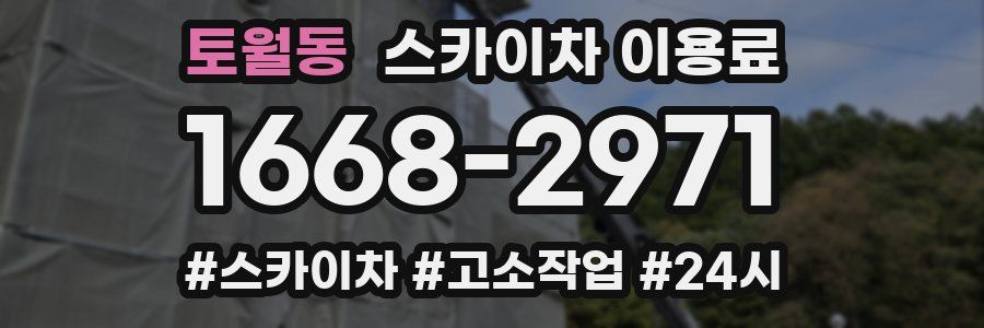 토월동 스카이차 이용료