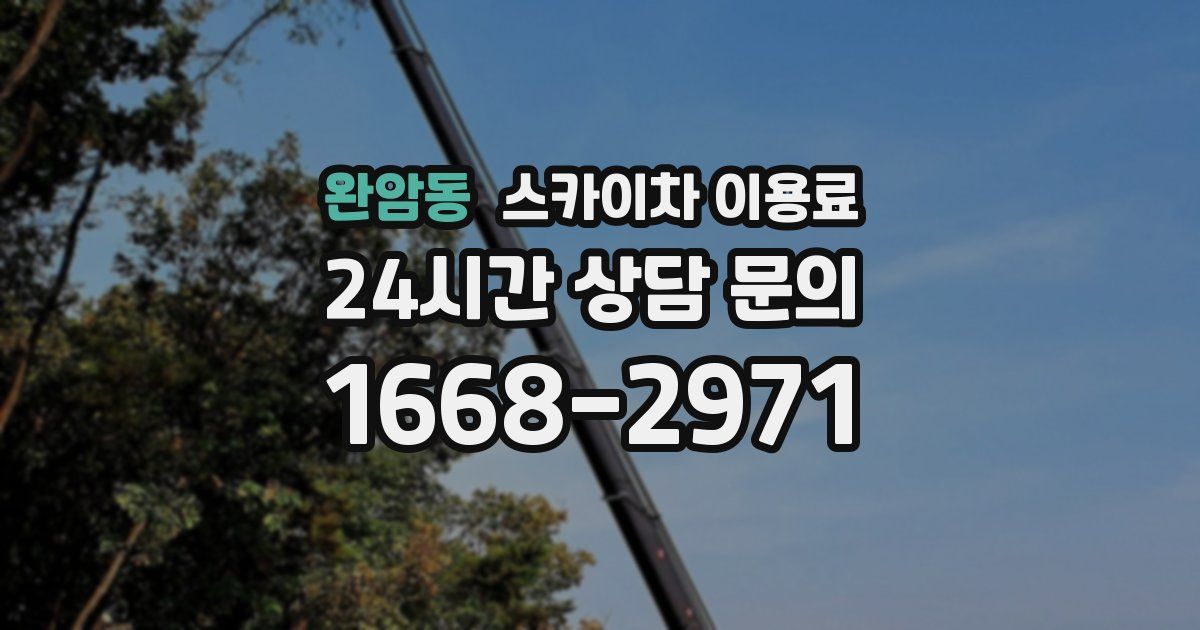 완암동 스카이차 이용료