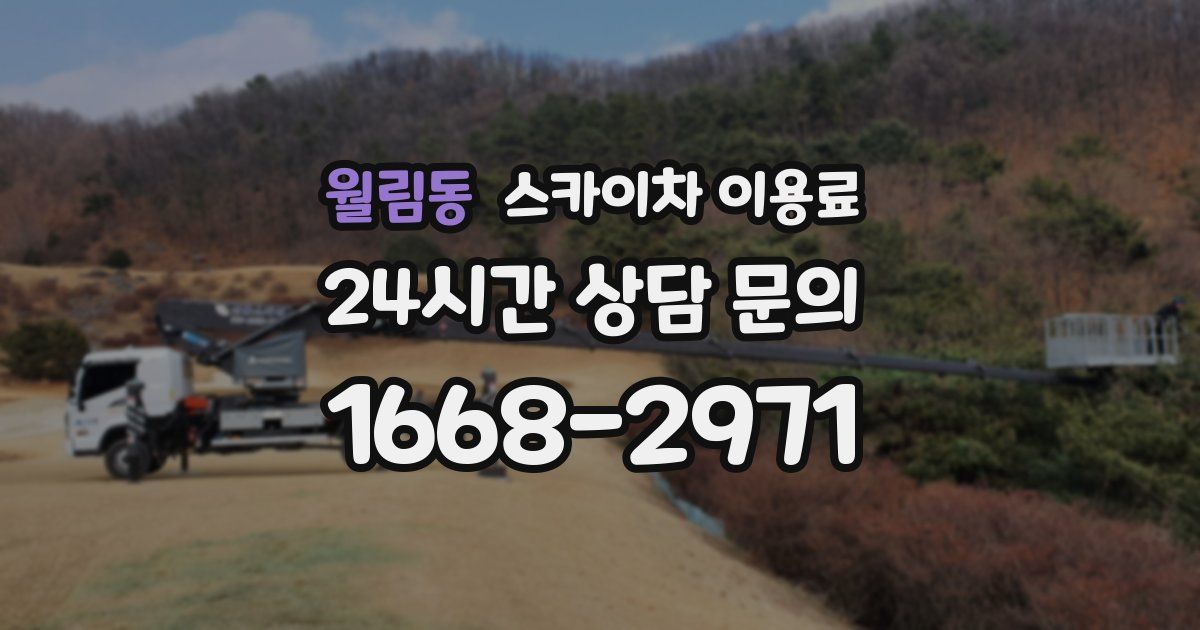 월림동 스카이차 이용료