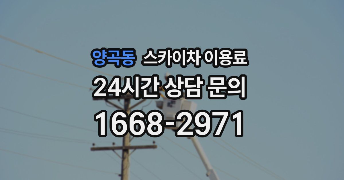 양곡동 스카이차 이용료