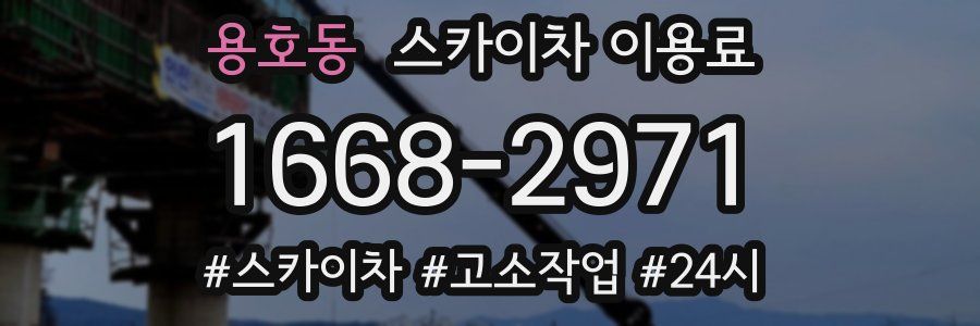 용호동 스카이차 이용료