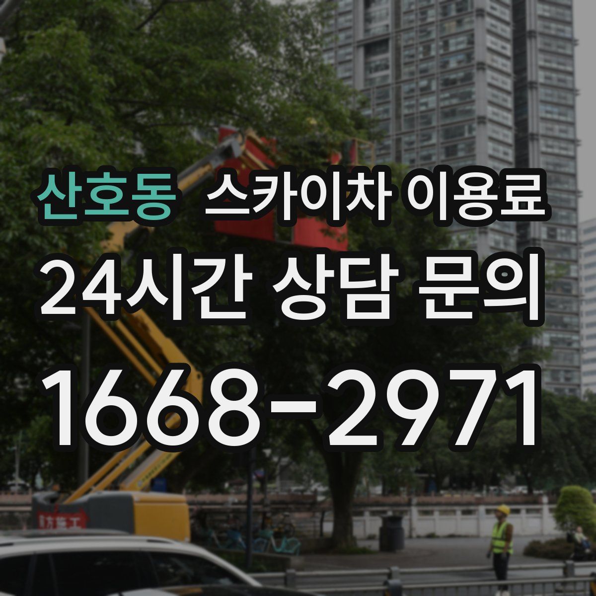 산호동 스카이차 이용료