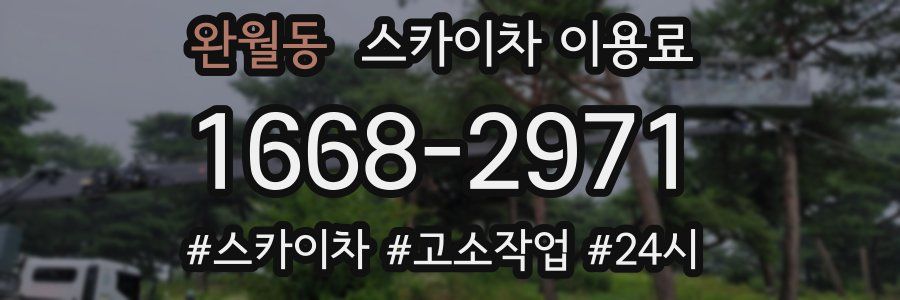 완월동 스카이차 이용료