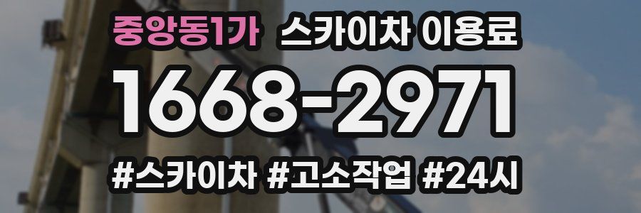 중앙동1가 스카이차 이용료