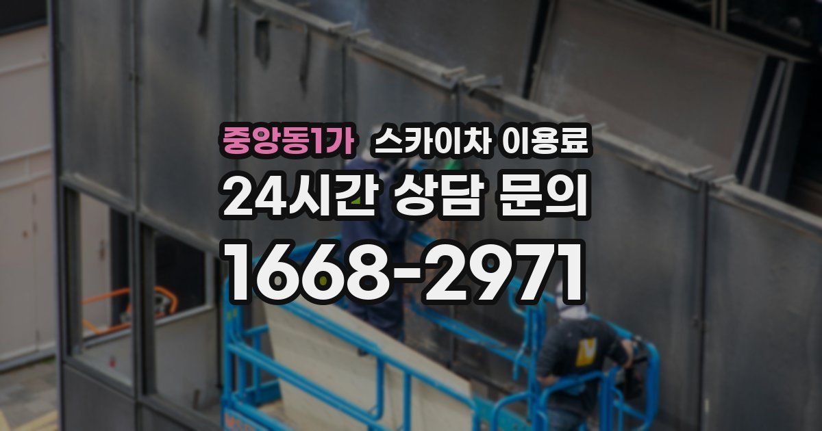 중앙동1가 스카이차 이용료