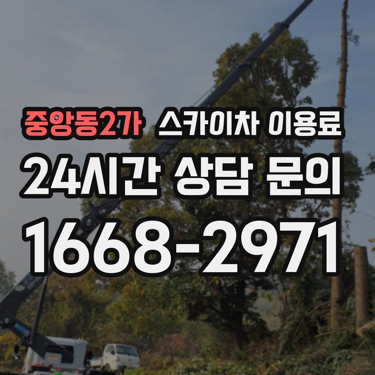중앙동2가 스카이차 이용료 안내를 볼 때 해석하는 법