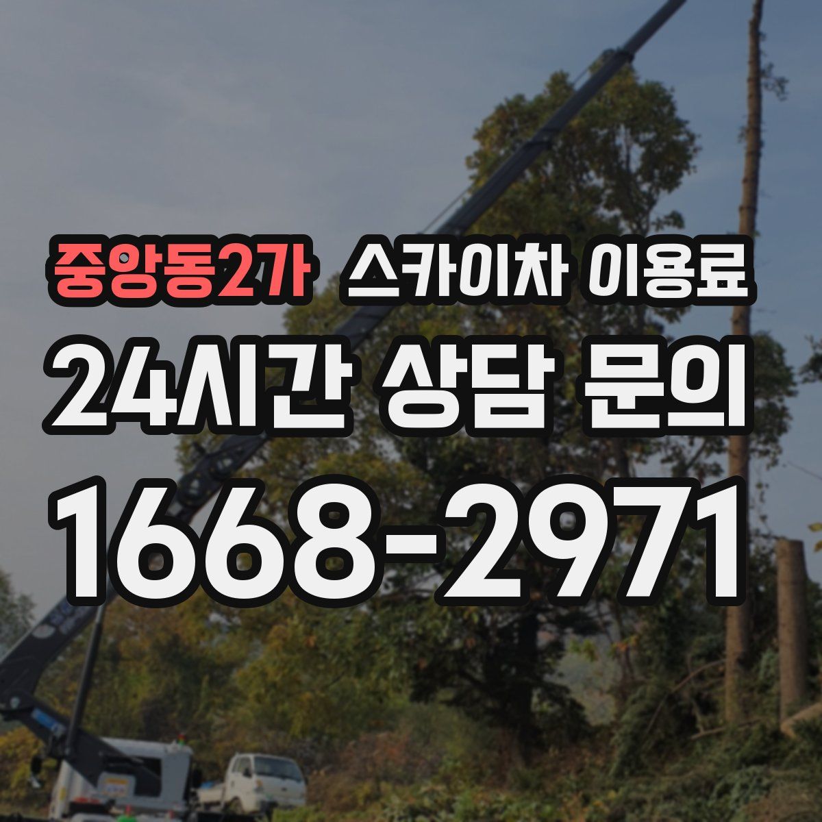 중앙동2가 스카이차 이용료