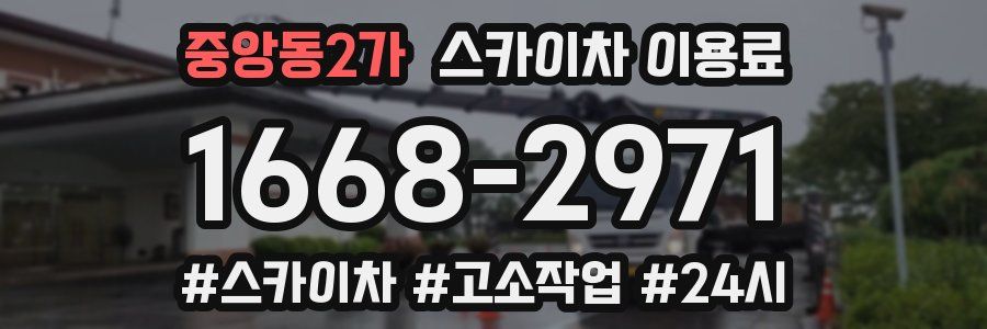 중앙동2가 스카이차 이용료