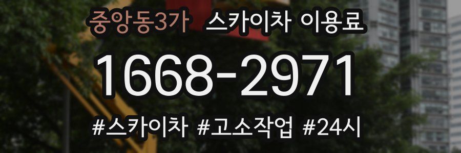 중앙동3가 스카이차 이용료