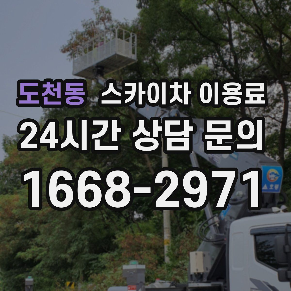 도천동 스카이차 이용료