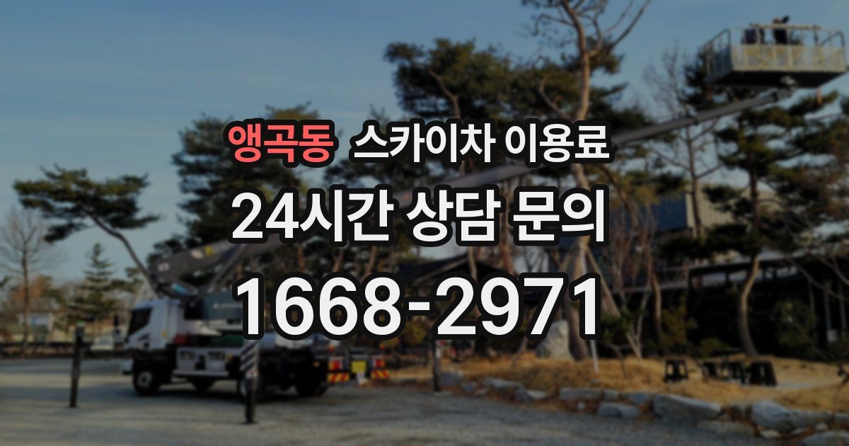 앵곡동 스카이차 이용료