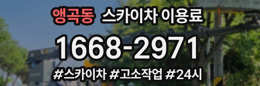 앵곡동 스카이차 이용료