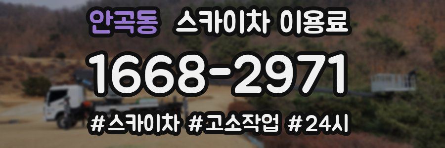 안곡동 스카이차 이용료