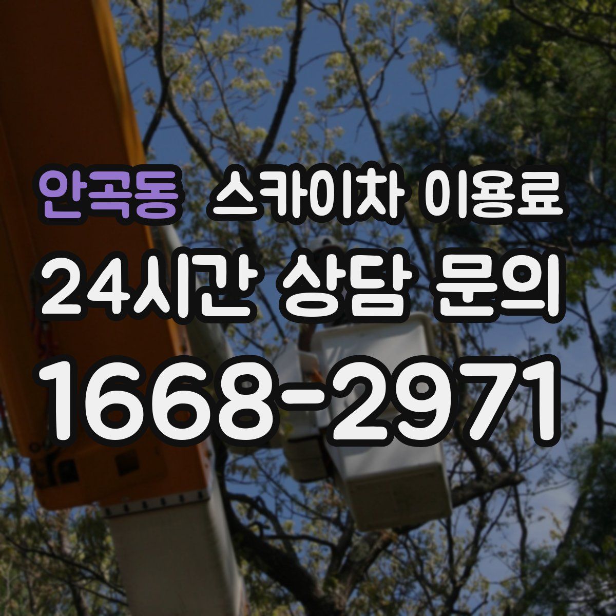 안곡동 스카이차 이용료