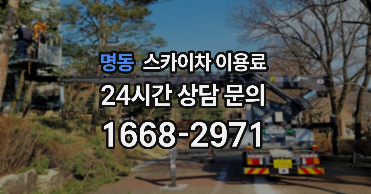 명동 스카이차 이용료