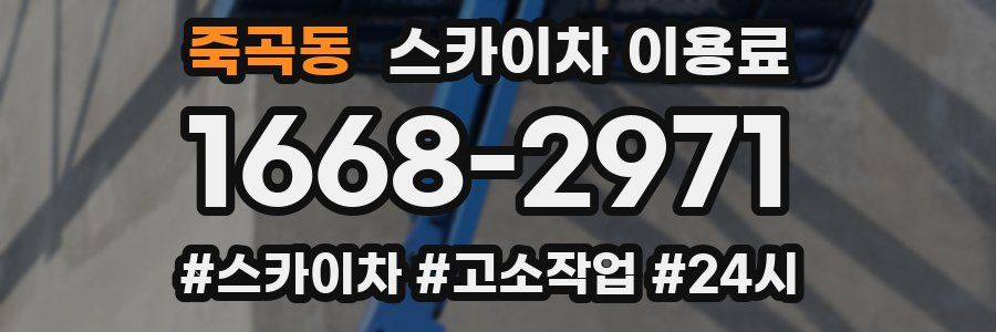 죽곡동 스카이차 이용료
