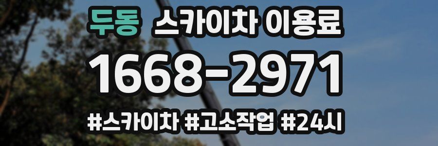 두동 스카이차 이용료