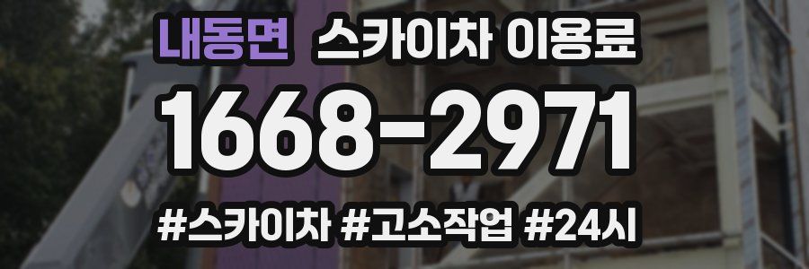 내동면 스카이차 이용료