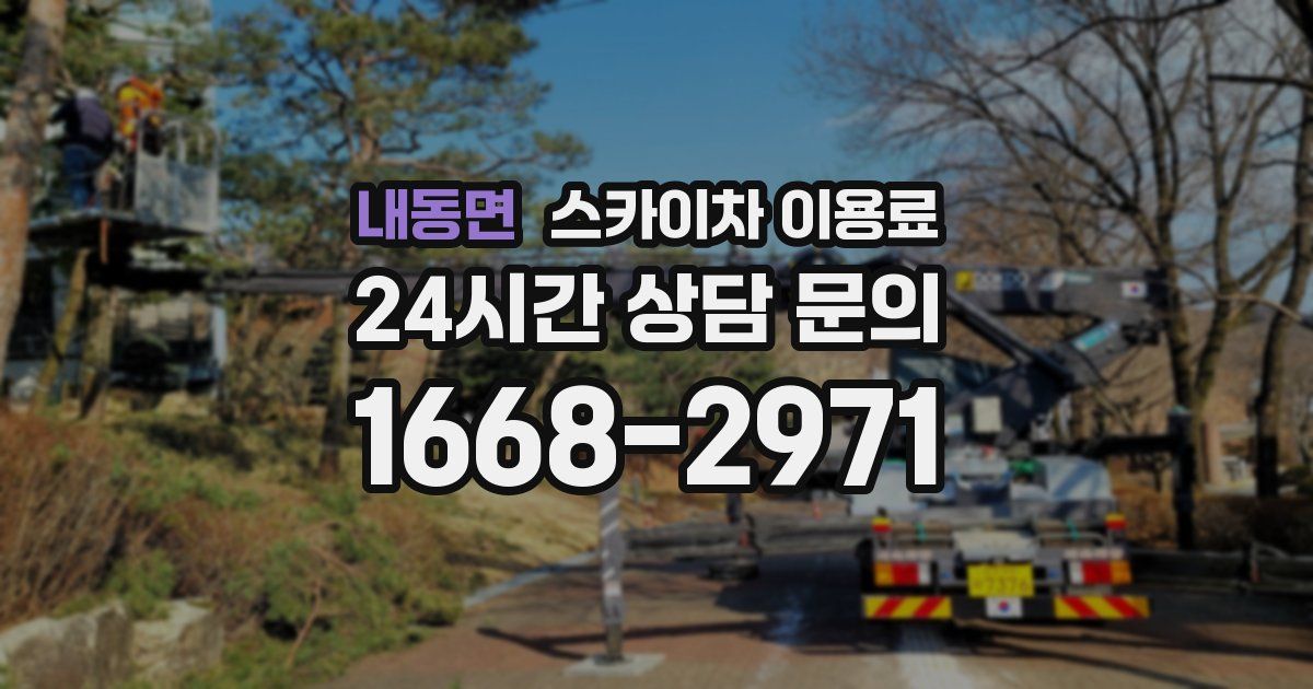 내동면 스카이차 이용료
