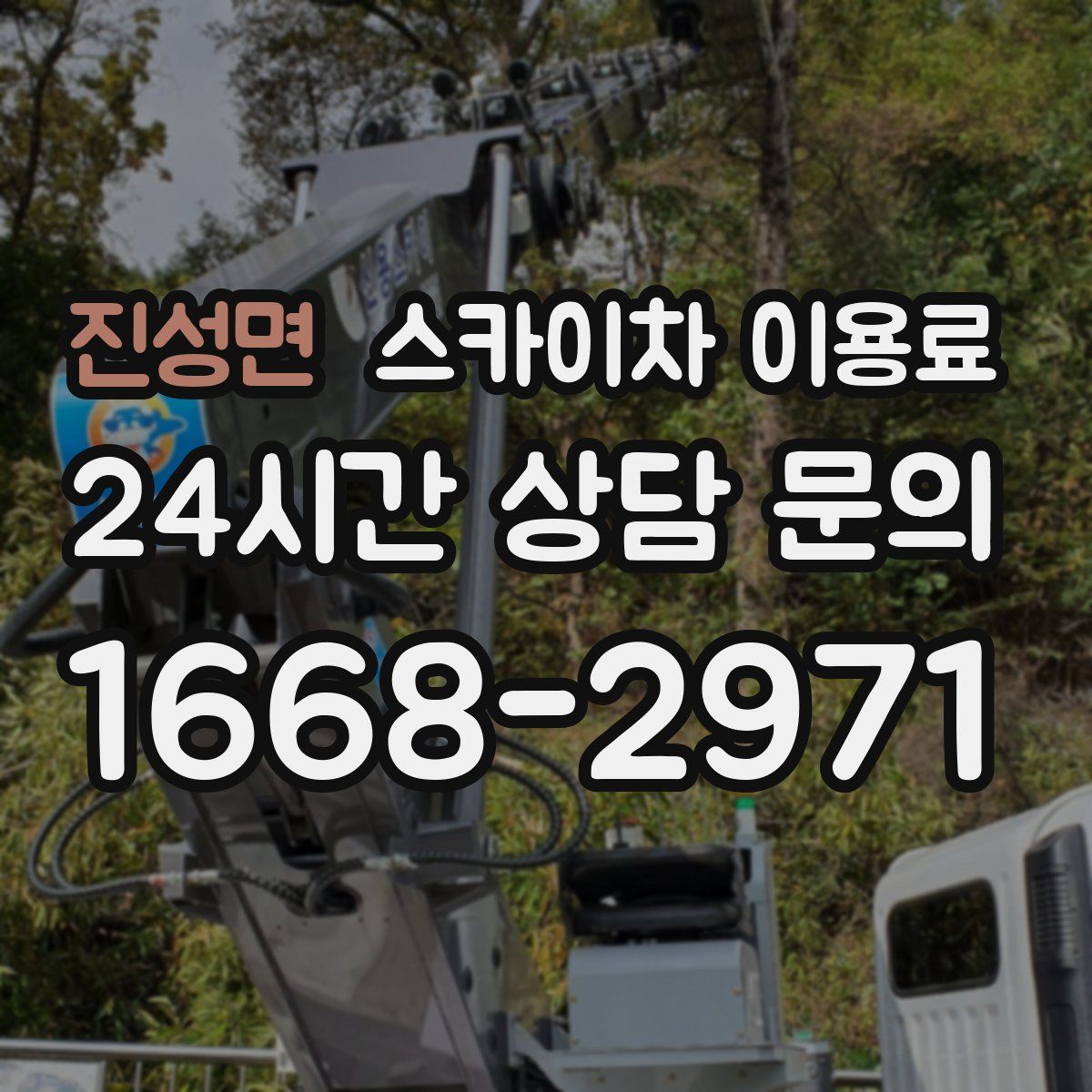 진성면 스카이차 이용료
