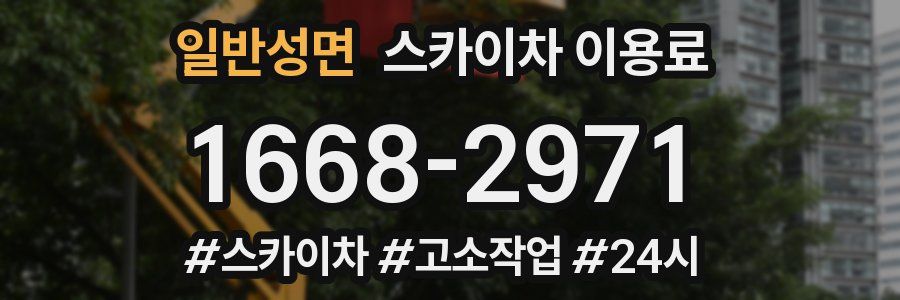 일반성면 스카이차 이용료